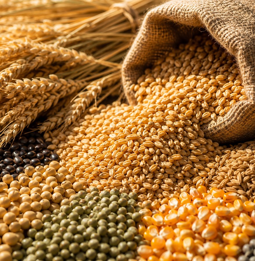 Agro-Products